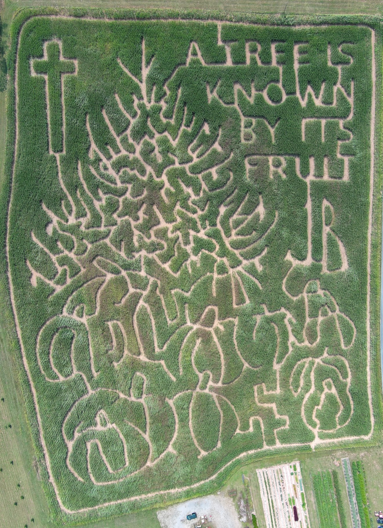 Aerial view of the corn maze reading ‘A tree is known by its fruit’ with the JB initials